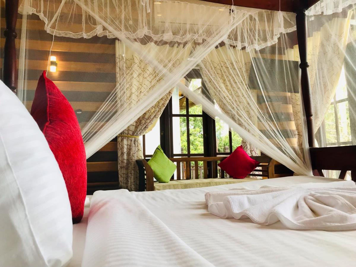 Tina Nature Villa إيلا المظهر الخارجي الصورة