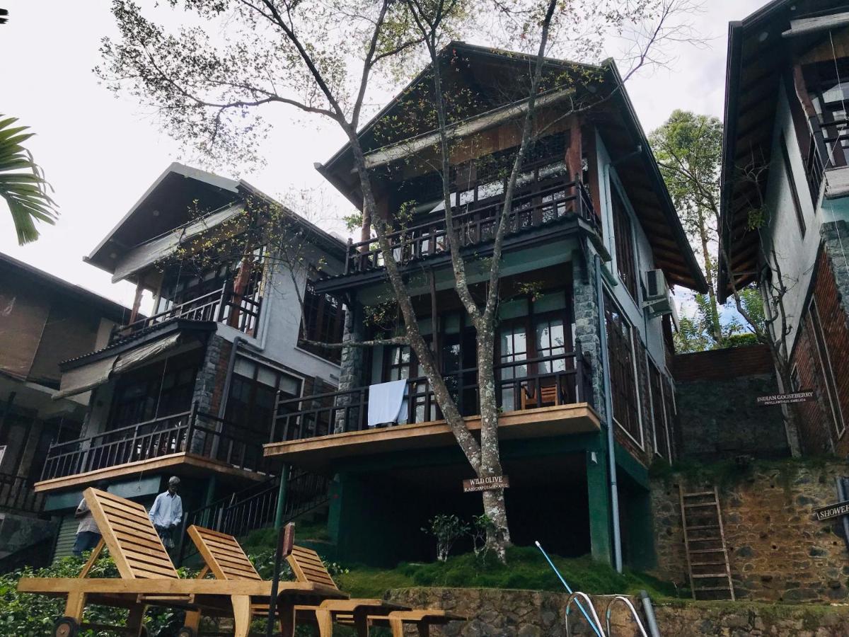 Tina Nature Villa إيلا المظهر الخارجي الصورة