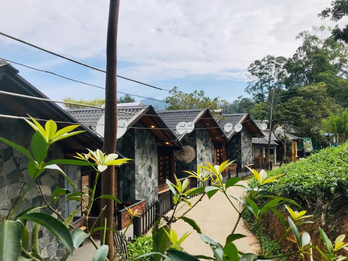 Tina Nature Villa إيلا المظهر الخارجي الصورة