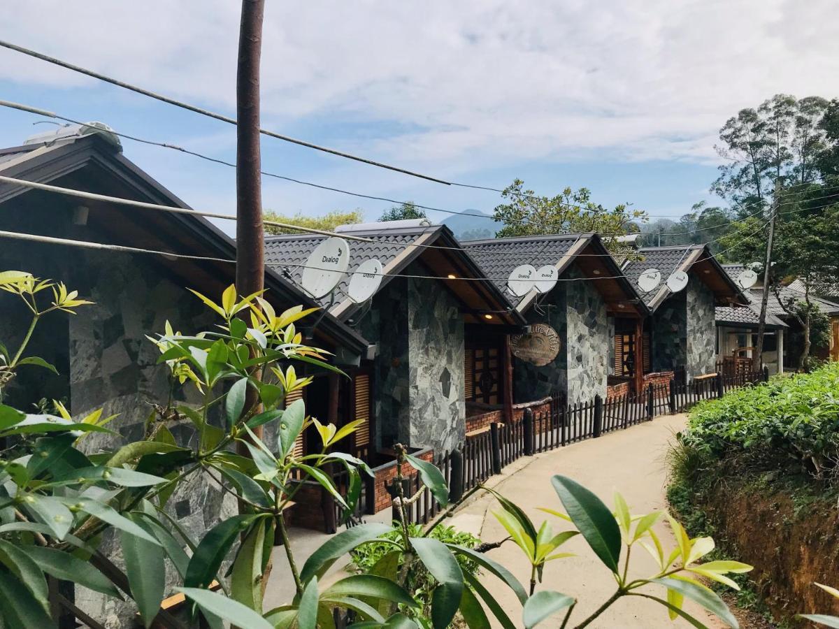Tina Nature Villa إيلا المظهر الخارجي الصورة