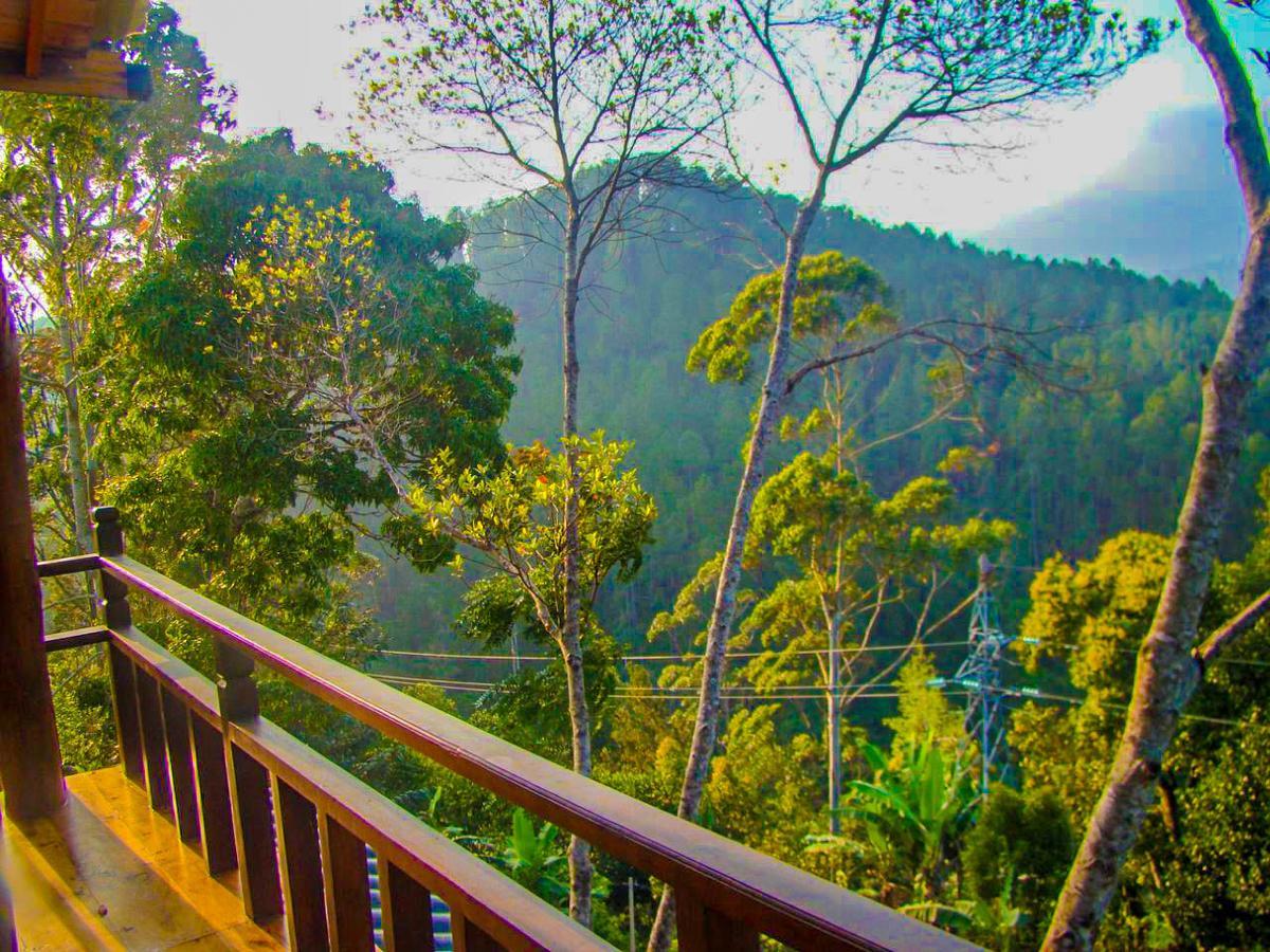 Tina Nature Villa إيلا المظهر الخارجي الصورة