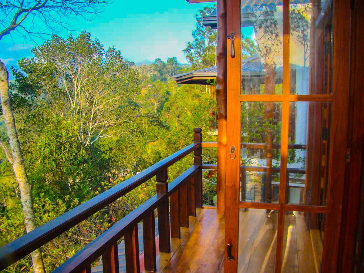 Tina Nature Villa إيلا المظهر الخارجي الصورة