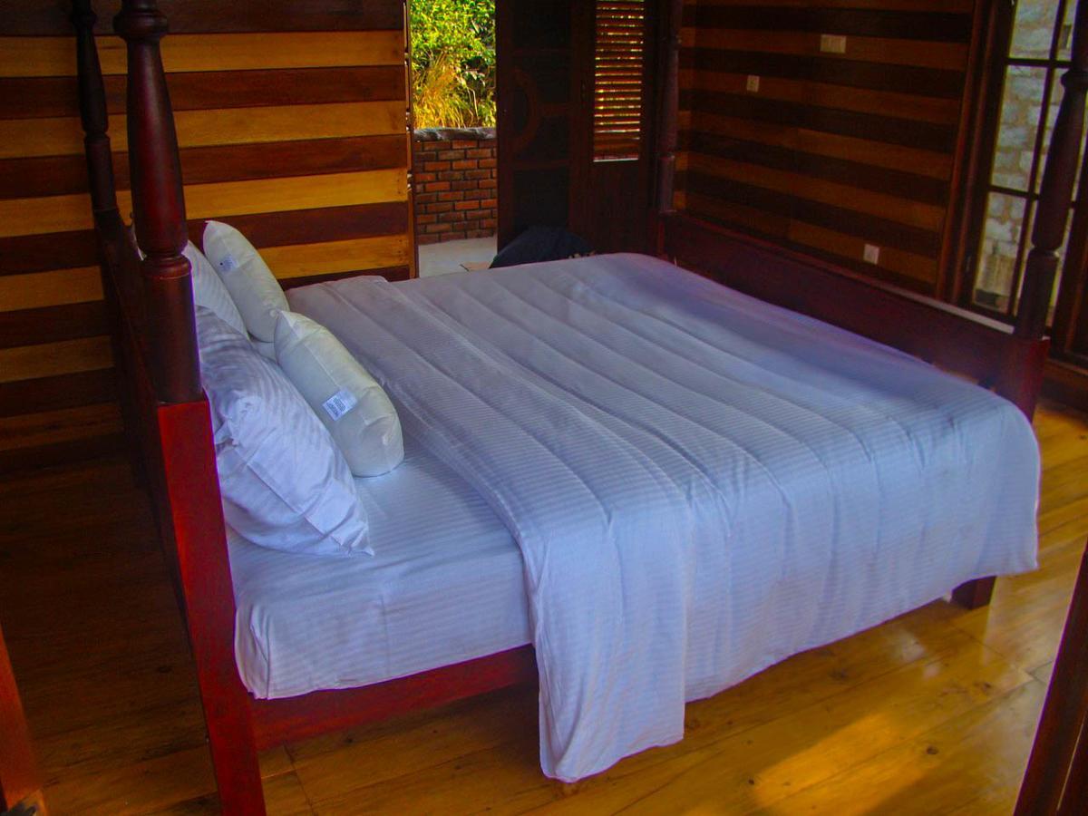 Tina Nature Villa إيلا المظهر الخارجي الصورة