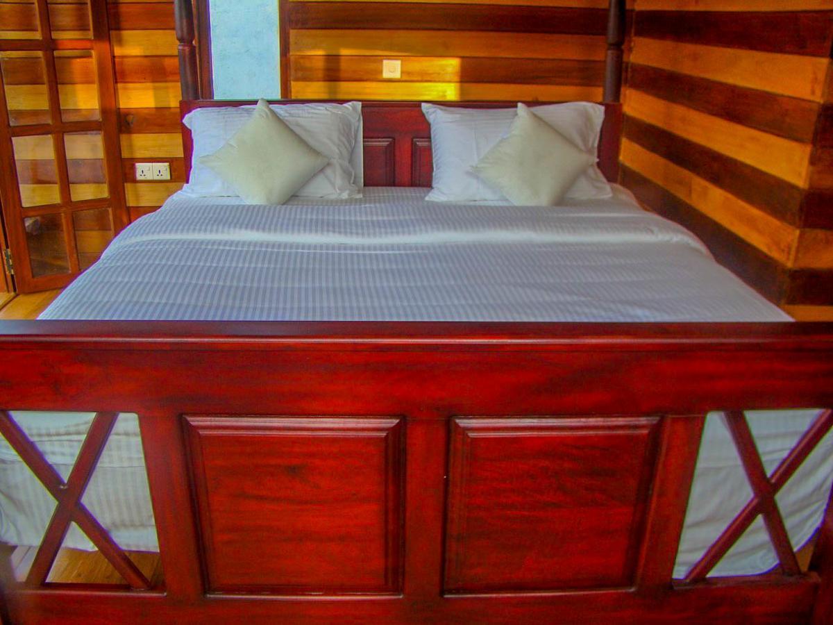 Tina Nature Villa إيلا المظهر الخارجي الصورة