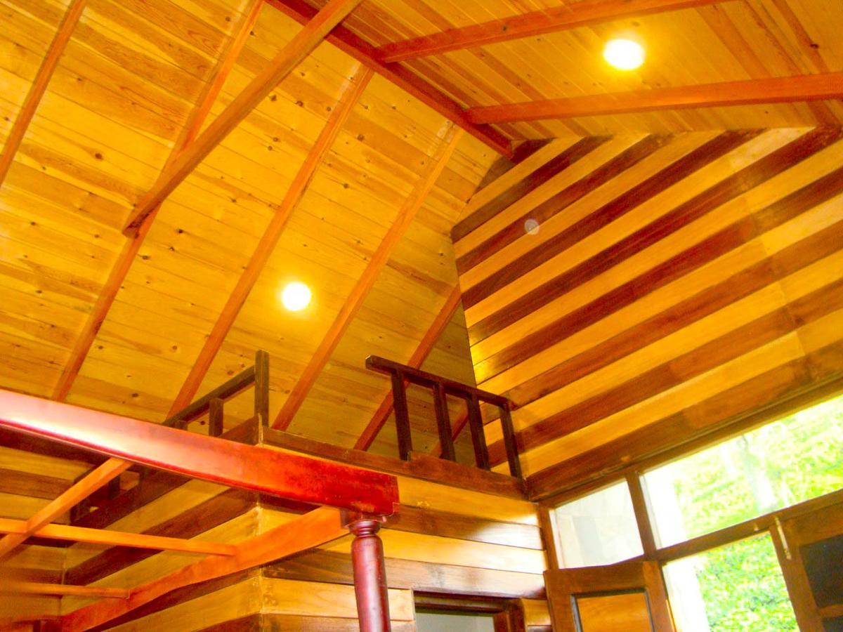 Tina Nature Villa إيلا المظهر الخارجي الصورة