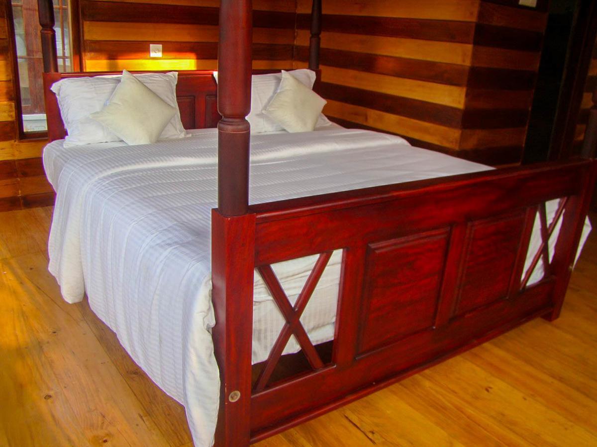 Tina Nature Villa إيلا المظهر الخارجي الصورة