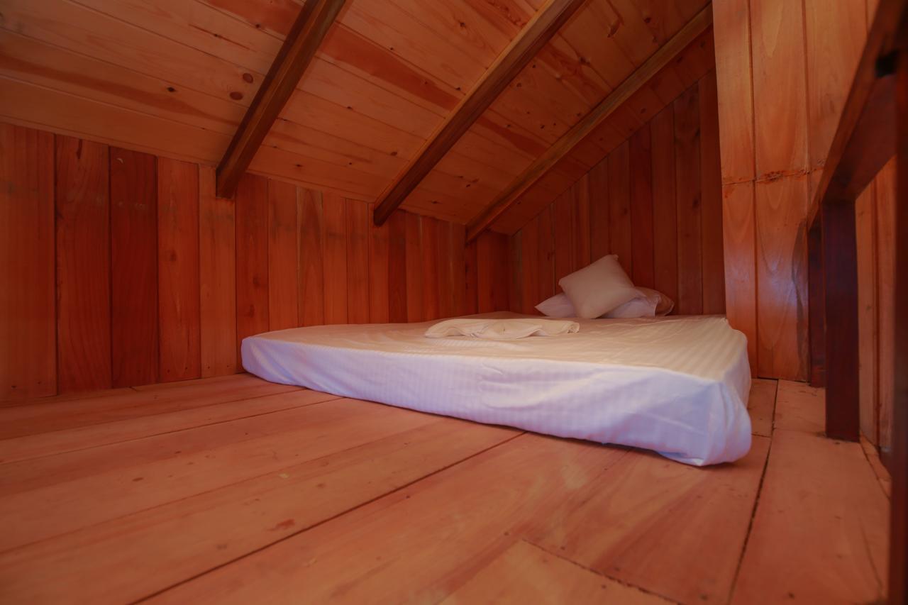Tina Nature Villa إيلا المظهر الخارجي الصورة