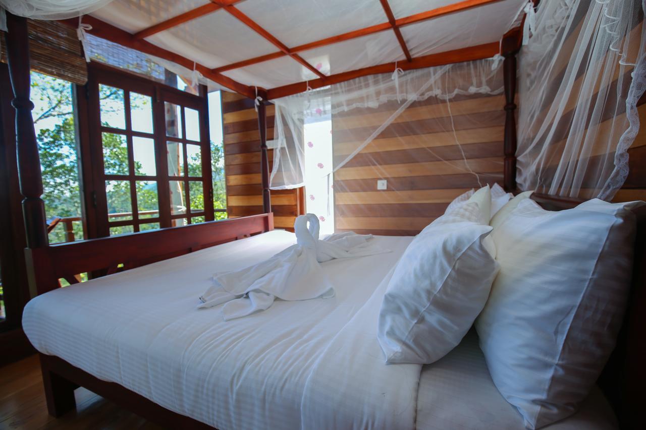 Tina Nature Villa إيلا المظهر الخارجي الصورة