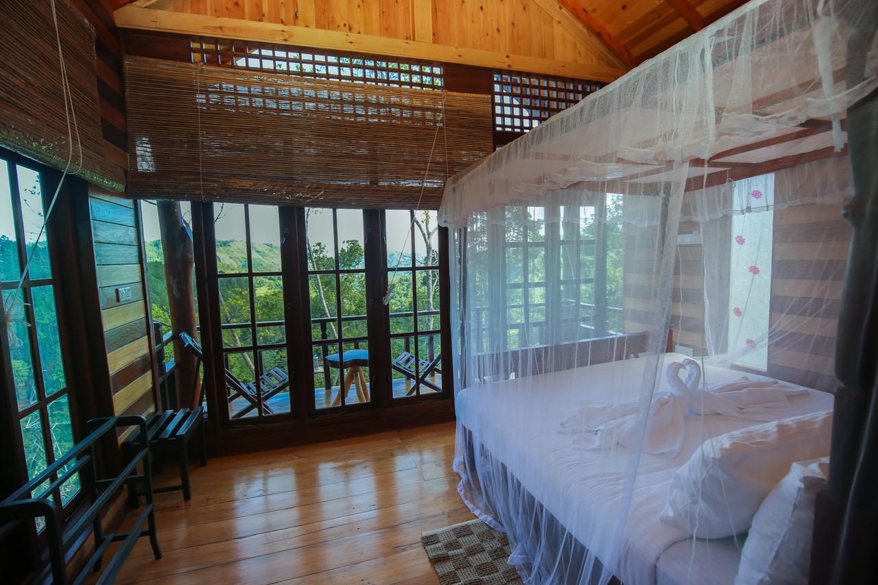 Tina Nature Villa إيلا المظهر الخارجي الصورة